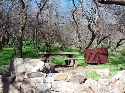 Site 9.