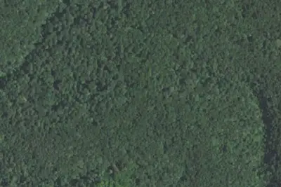 Camp site