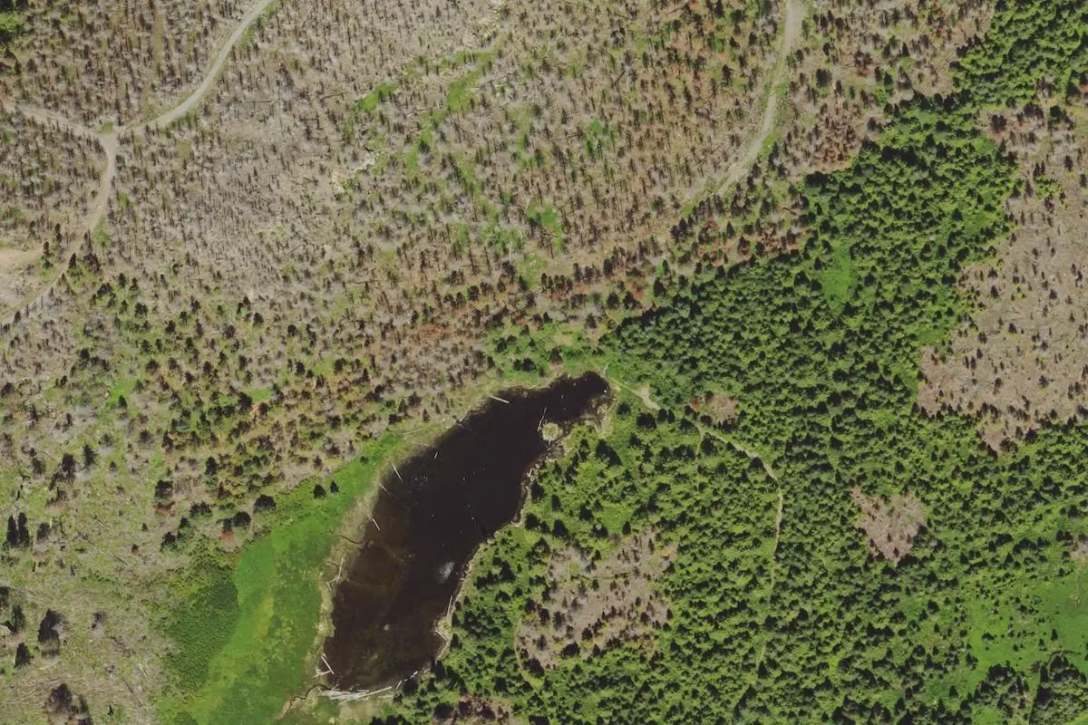 Aerial view
