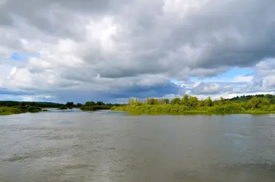 The River - panoramio (3)