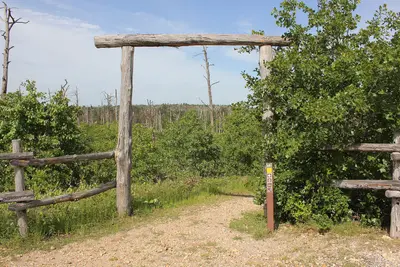 Bastrop State Park (46924508911)
