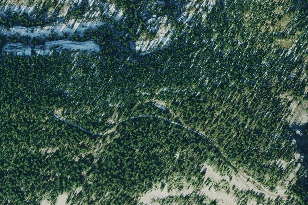 Aerial view