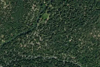 West Branch