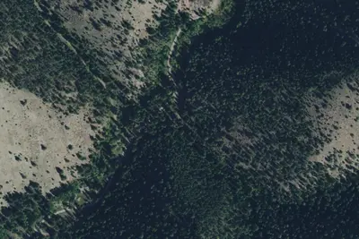 Avalanche15