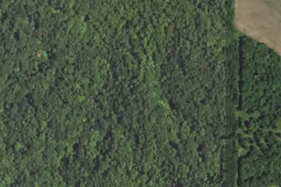 East Camp Site