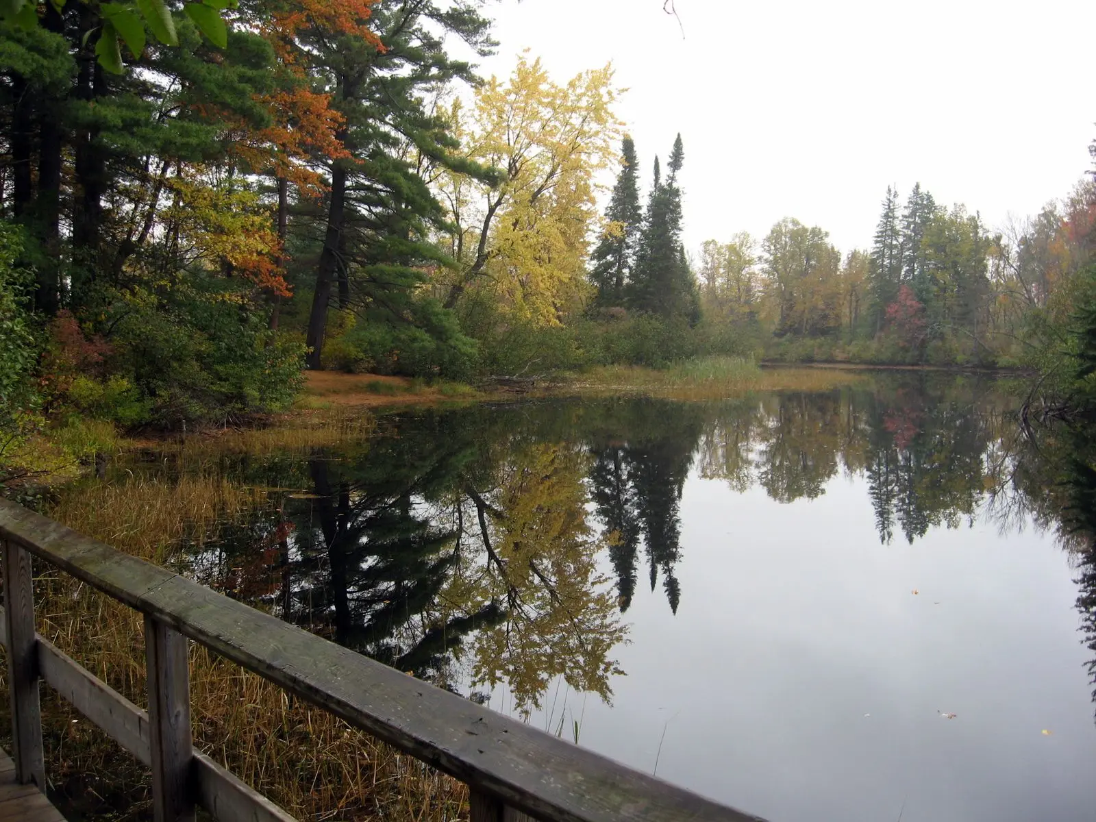Photo of Bonnechere Provincial Park