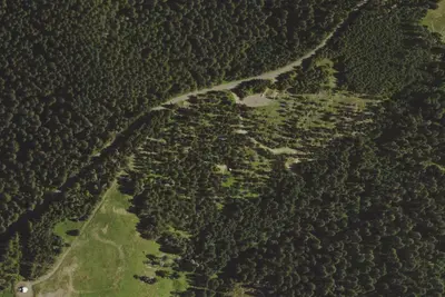 Marys Peak Campground