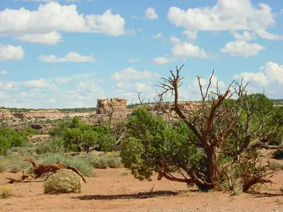 Canyon Lands - panoramio - Frans-Banja Mulder (3)