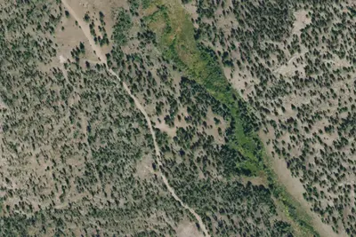 Camp site
