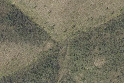Camp site