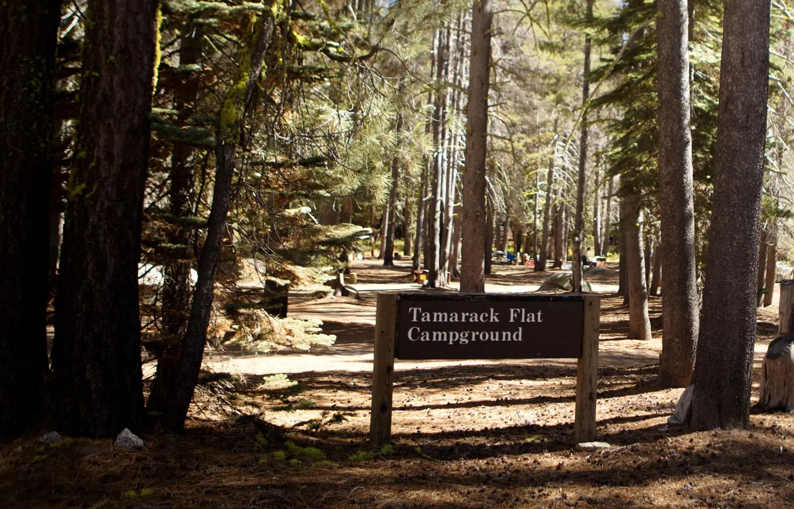 Tamarack Flat Campground Sign
