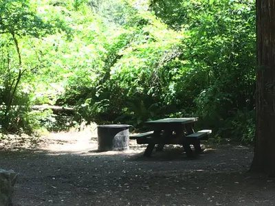 Campground site