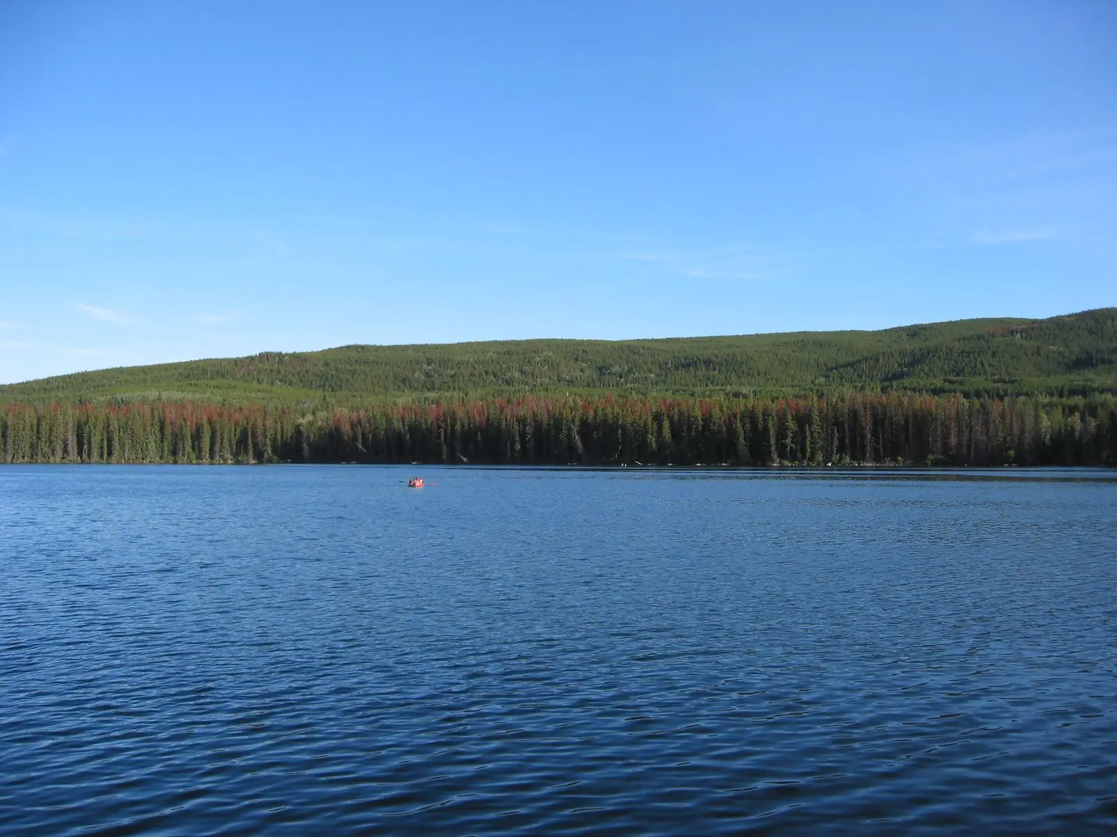 Photo of Lac le Jeune Park