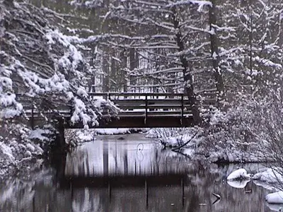 CGSP Snowy Bridge