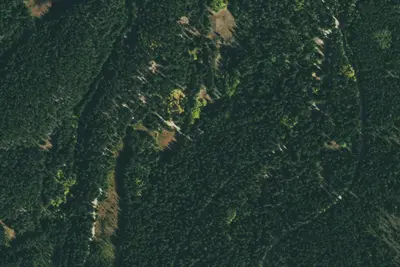 Camp site
