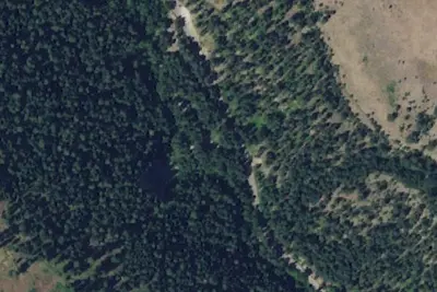 Cottonwood - Ton