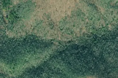 Camp site