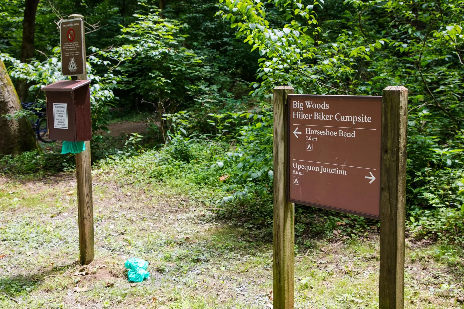 Big Woods Campsite