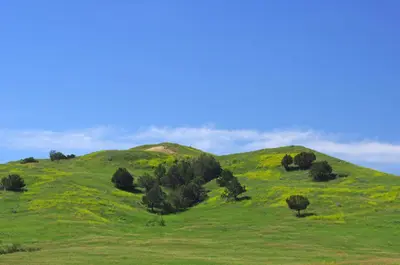 Sage Creek Campground