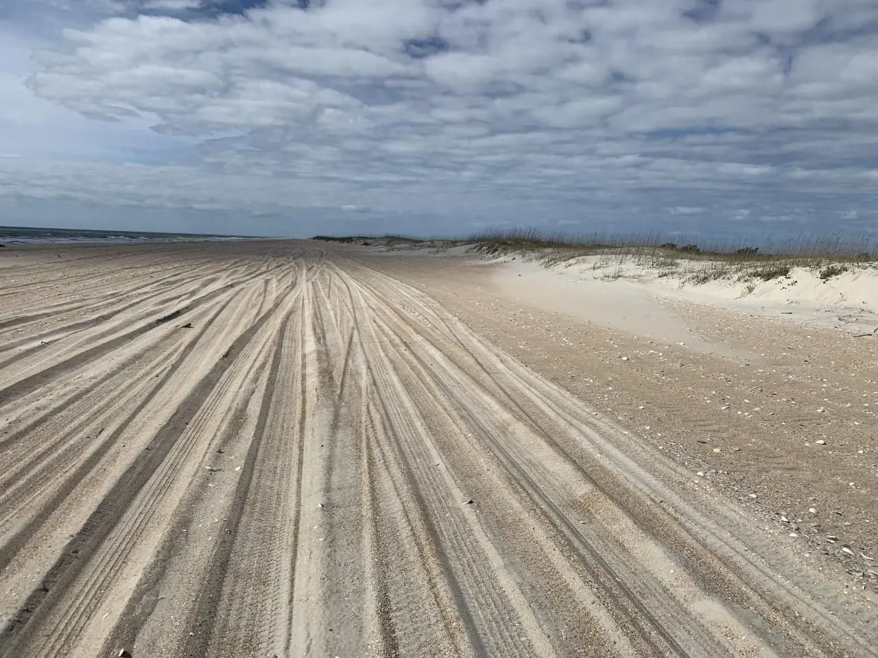 South Core Banks -- beach camping area