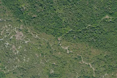 Camp site