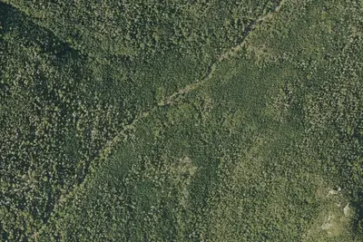 Camp site