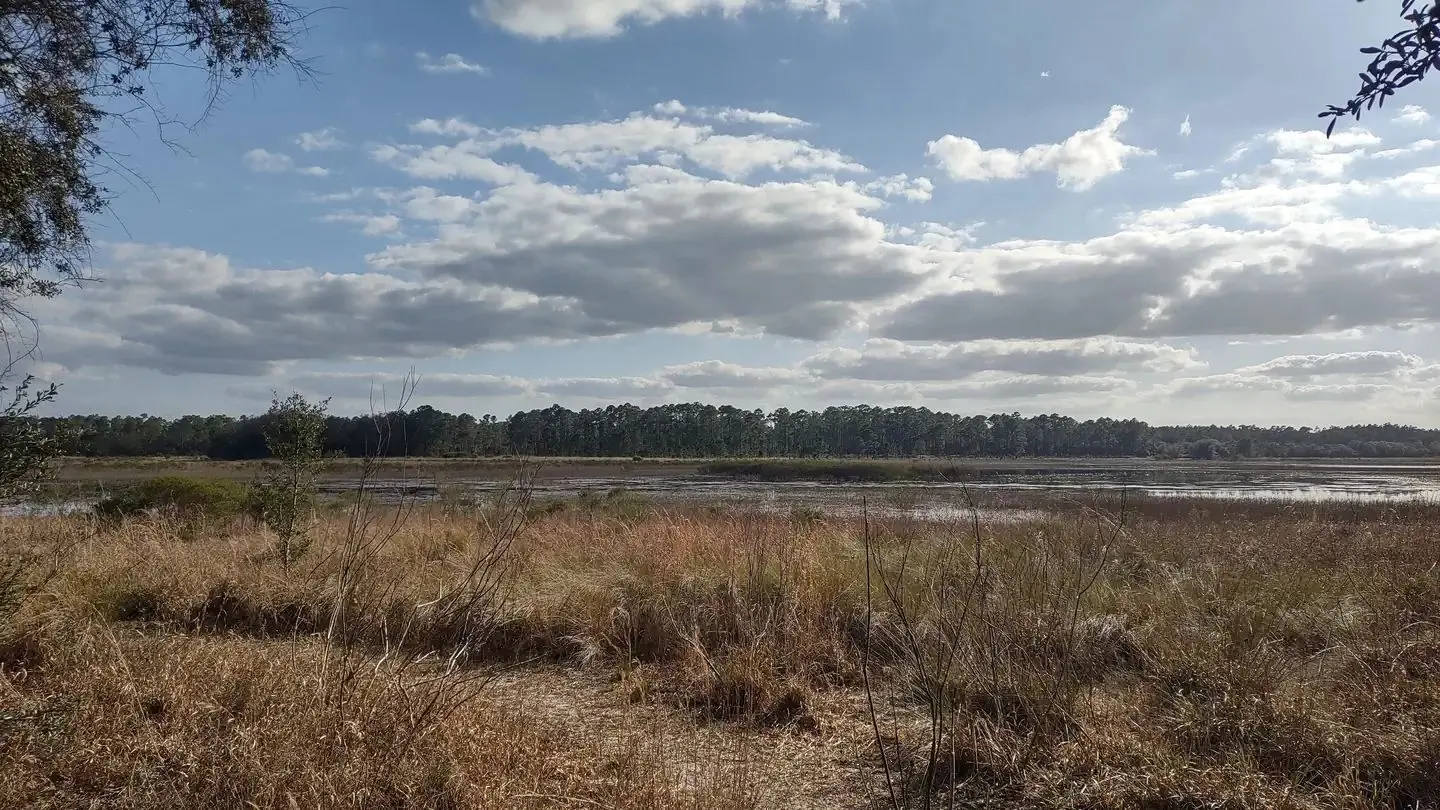View from campground