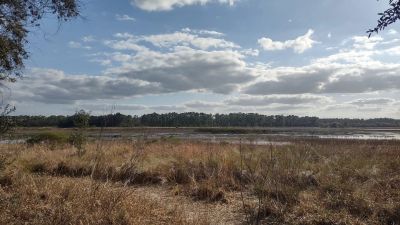 Hopkins Prairie Campground