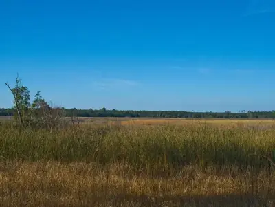 View of Hopkin's Prairie