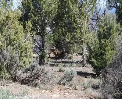 McPhee Recreation Complex