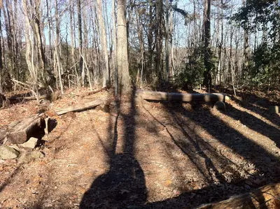 Len foote hike inn amicalola falls ga - panoramio
