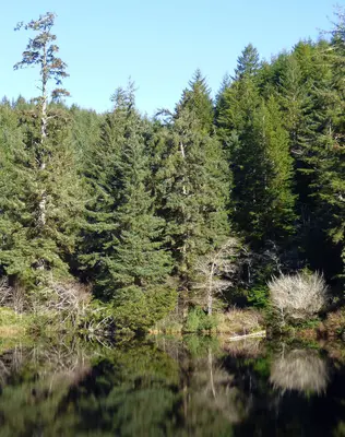 SE End of Lake Marie - panoramio