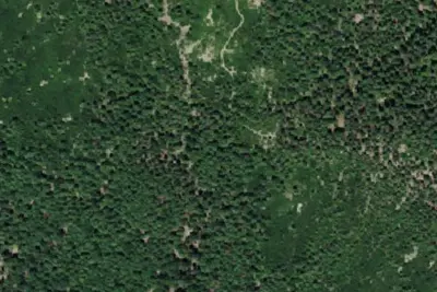 Fork Camp