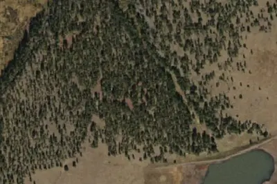 Benny Creek Campground