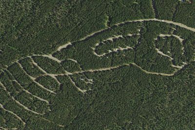 Canyon Campground