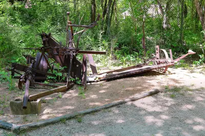 Mower Penn Farm History Center Texas 2025