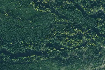 Rd 2332 Site 2