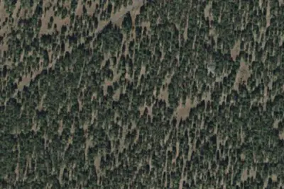 Camp site