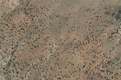 Site 9