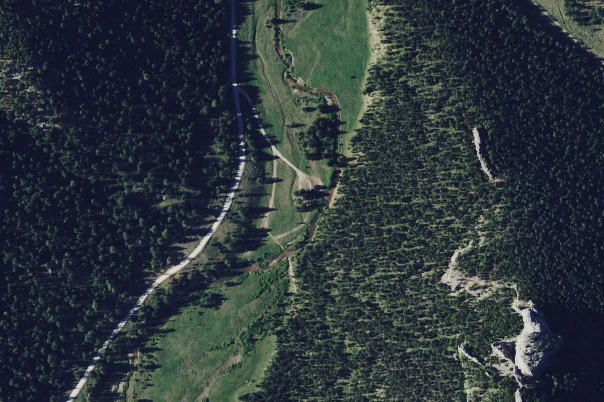Aerial view