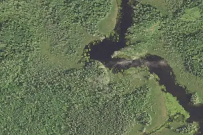 Camp site (Superior National Forest)