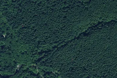 Camp site