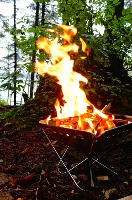 Pack and Carry Fireplace (15371332351)