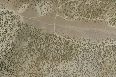 Camp site