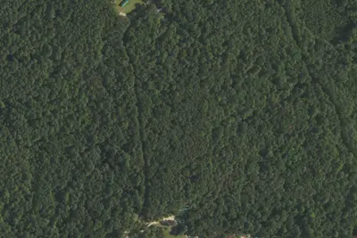 Camp site