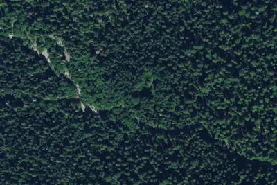 Goldmyer Hot Springs Campsites