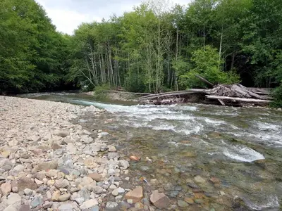 Link River in Link River Regional Park, BC