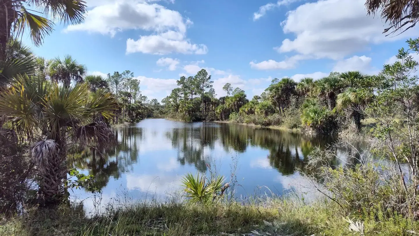 Gator Head Campground pond