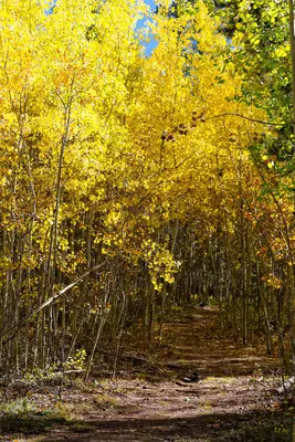 Kenosha Pass (10047905963)