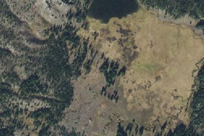 Sportsman Lake Meadow
